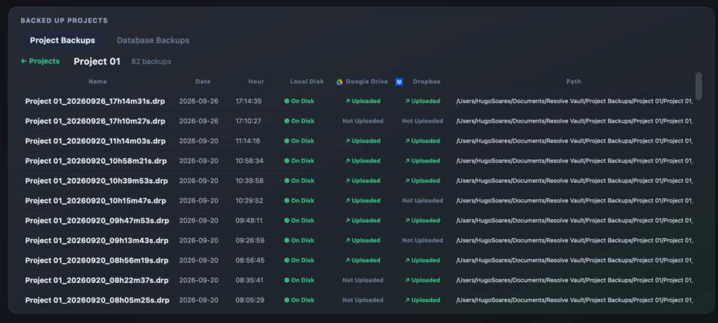 Resolve Vault project backup history